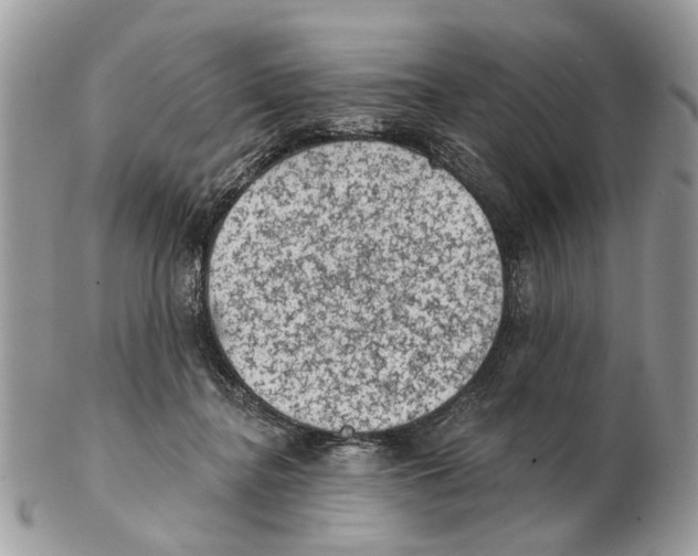 X0000102460364200809051315