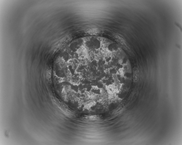 X0000102460365200809051315