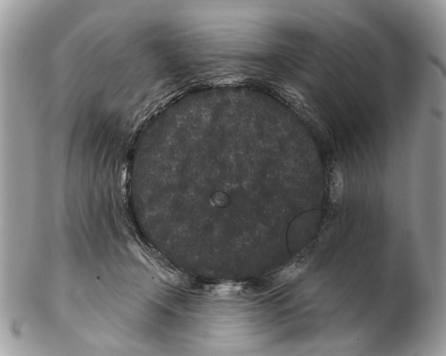 X0000102460366200809051315