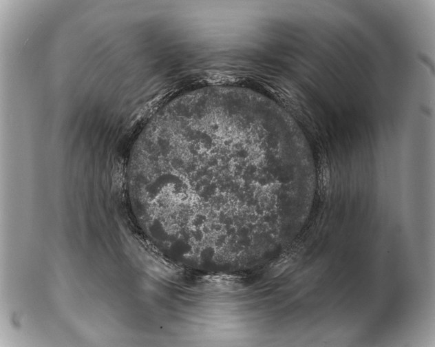 X0000102460367200809051315