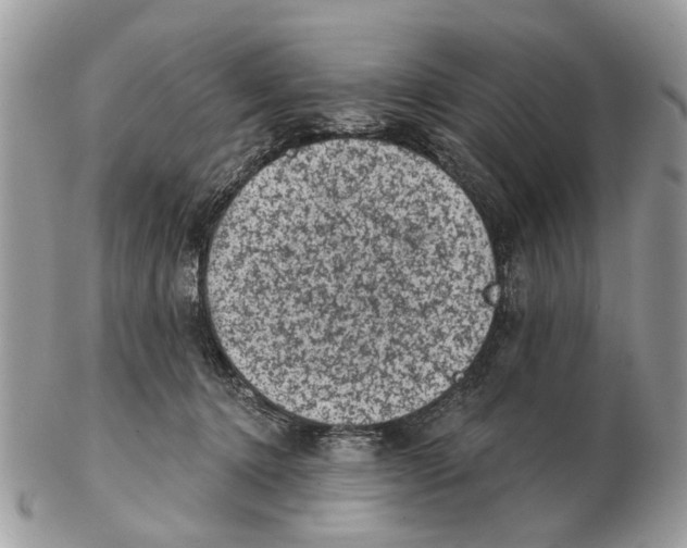 X0000102460368200809051315