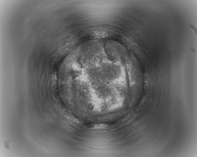 X0000102460369200809051315