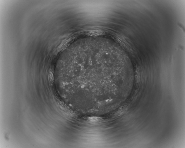 X0000102460371200809051315