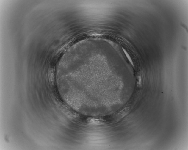 X0000102460372200809051315