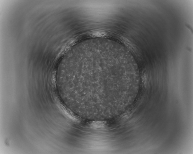 X0000102460373200809051315