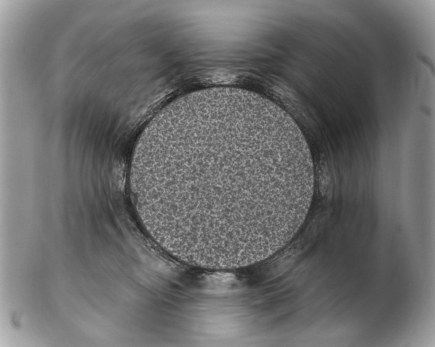 X0000102460374200809051315