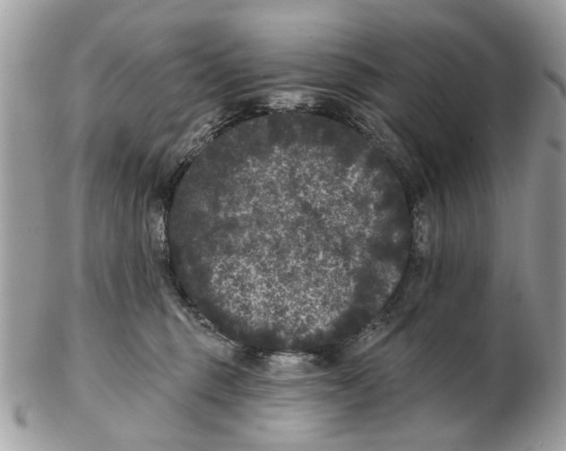 X0000102460375200809051315