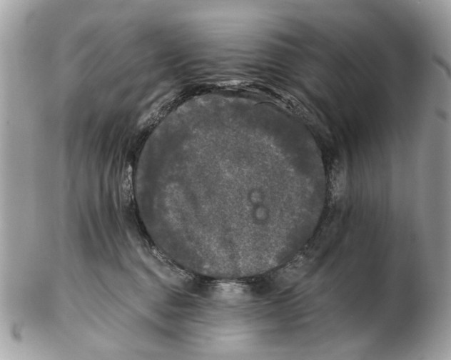 X0000102460376200809051315