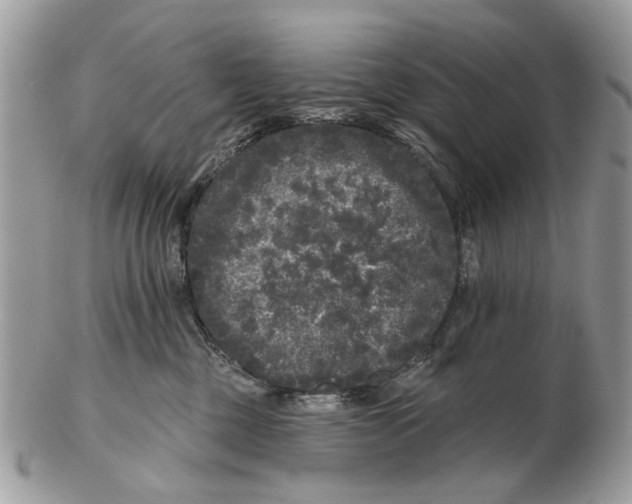 X0000102460377200809051315