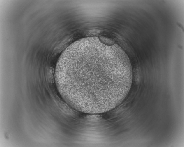 X0000102460378200809051315
