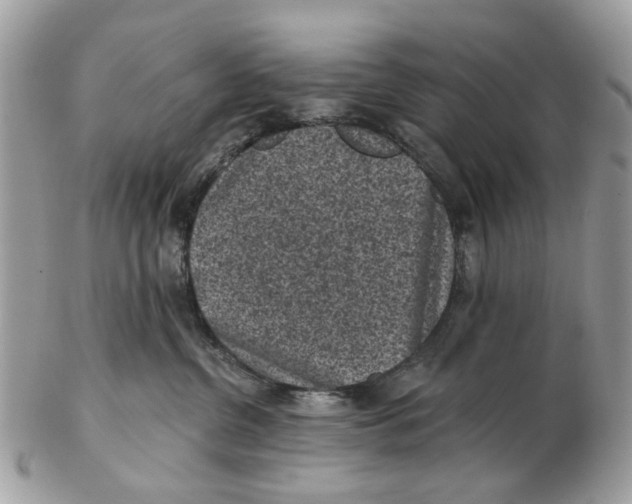 X0000102460380200809051315