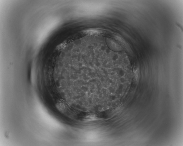 X0000102460381200809051315