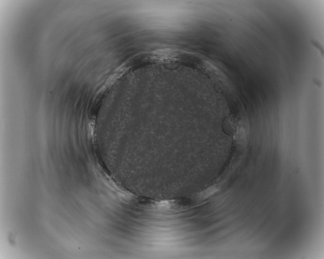 X0000102460382200809051315