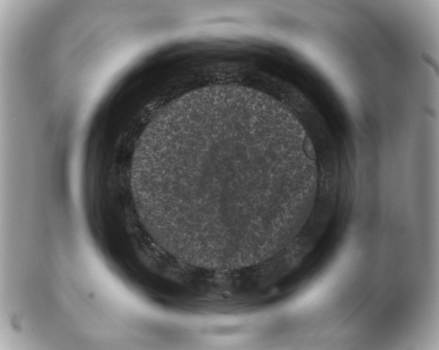 X0000102460383200809051315