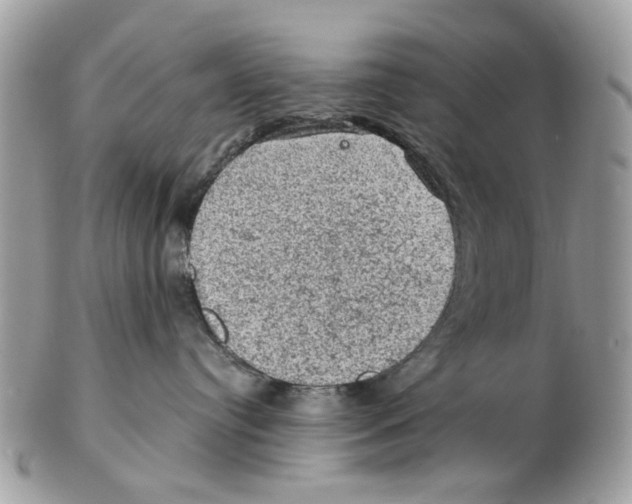 X0000102460384200809051315