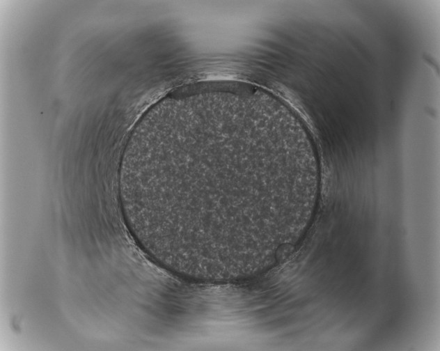 X0000102460385200809051314