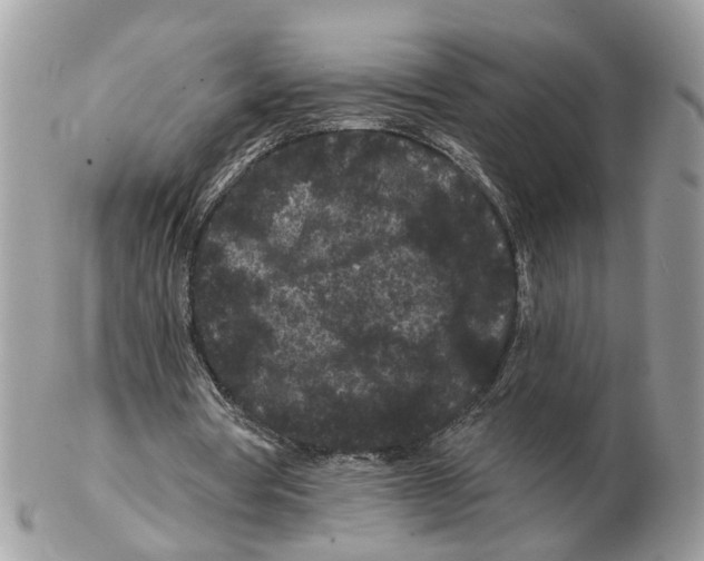 X0000102460386200809051314