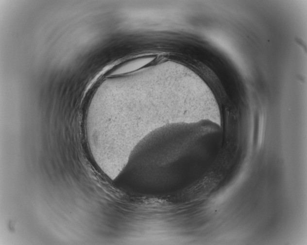 X0000102460387200809051314
