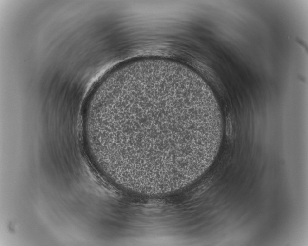 X0000102460388200809051314