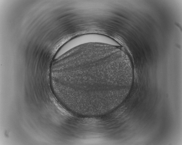 X0000102460389200809051314