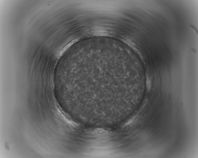 X0000102460390200809051314