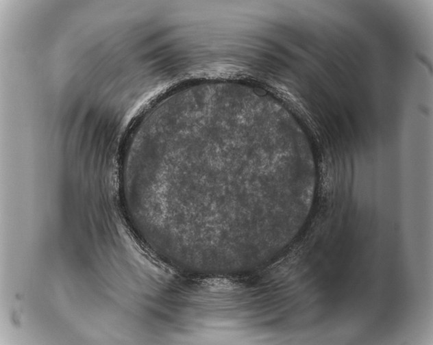 X0000102460392200809051314