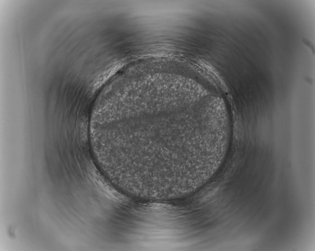 X0000102460393200809051314