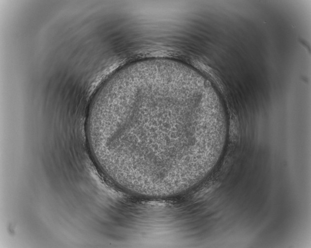 X0000102460394200809051314