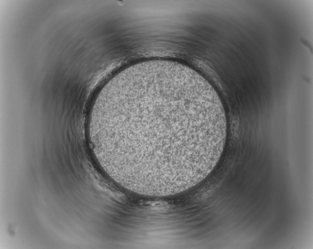 X0000102460395200809051314