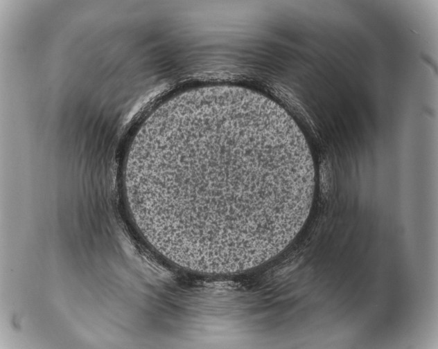 X0000102460396200809051314