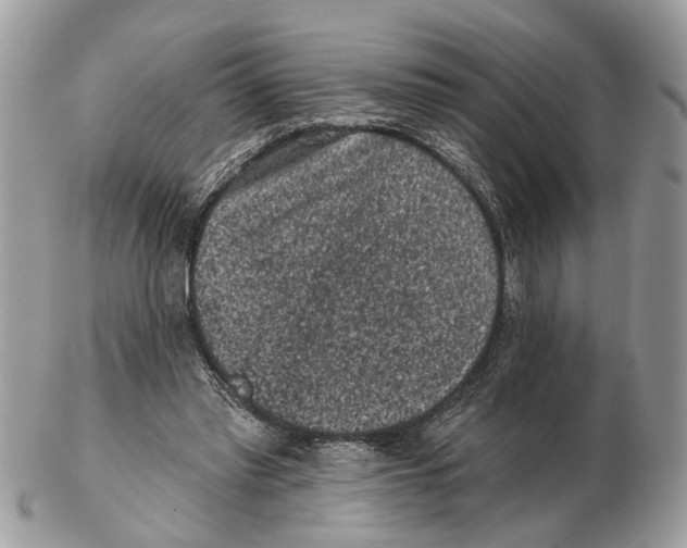 X0000102460397200809051314