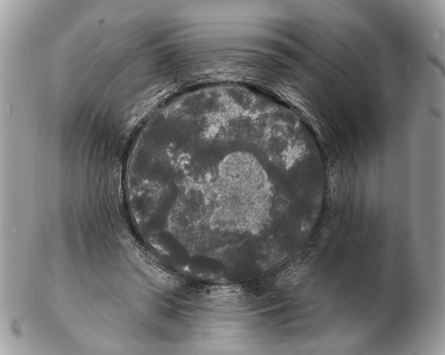 X0000102460398200809051314