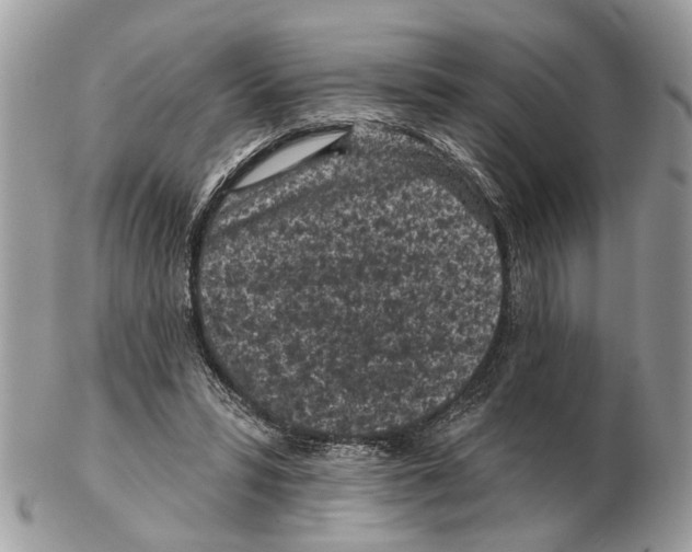 X0000102460399200809051314