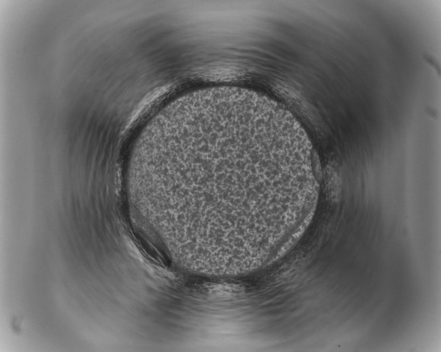 X0000102460400200809051314
