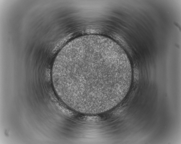 X0000102460401200809051314