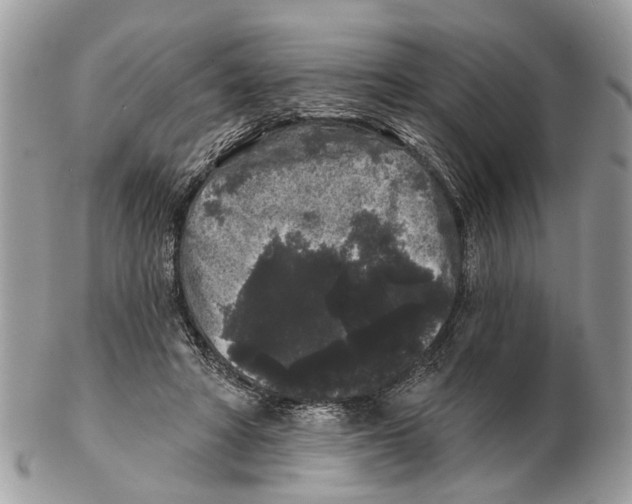 X0000102460402200809051314