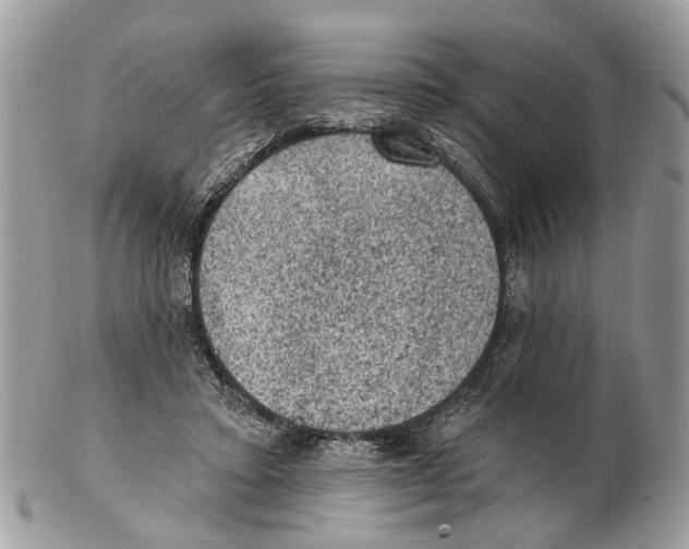 X0000102460403200809051314