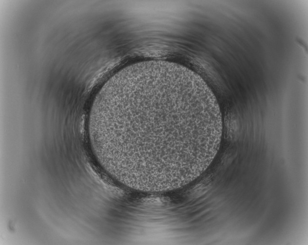 X0000102460404200809051314