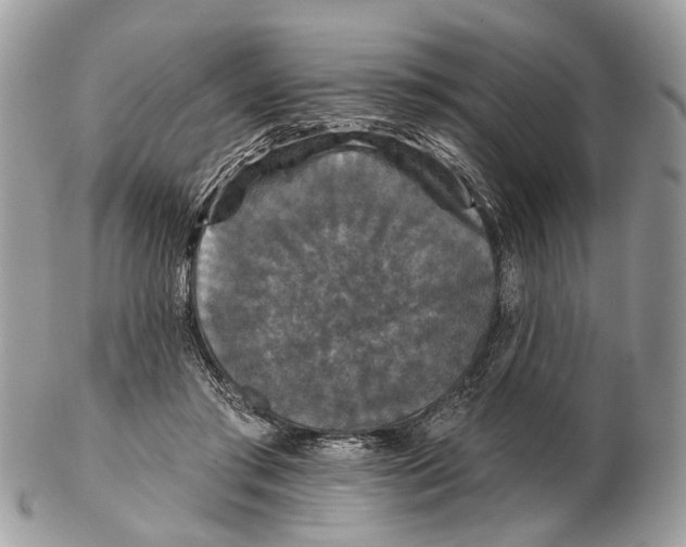 X0000102460405200809051314
