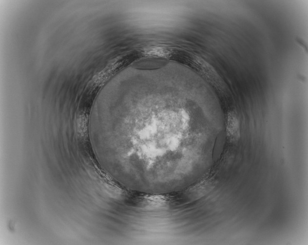X0000102460409200809051314