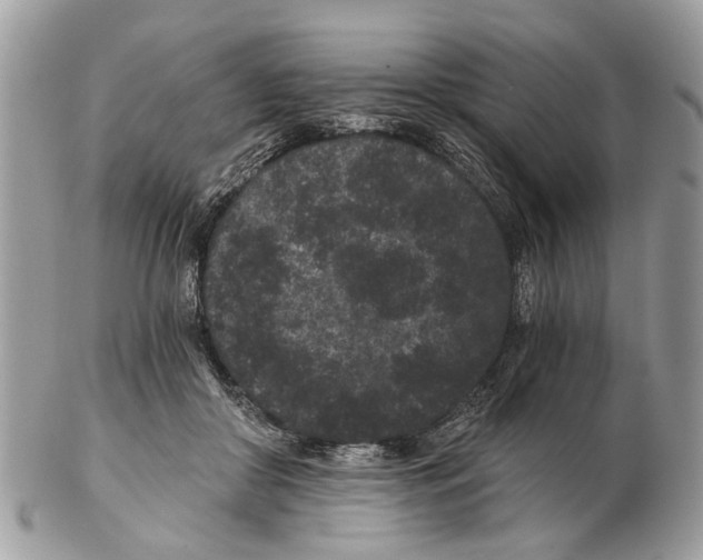 X0000102460410200809051314