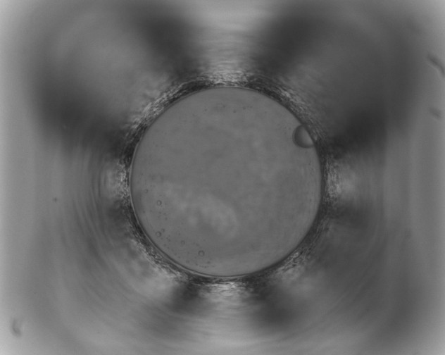 X0000102460411200809051314