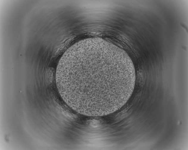 X0000102460412200809051314
