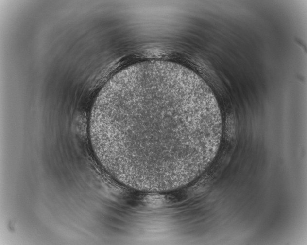 X0000102460413200809051314