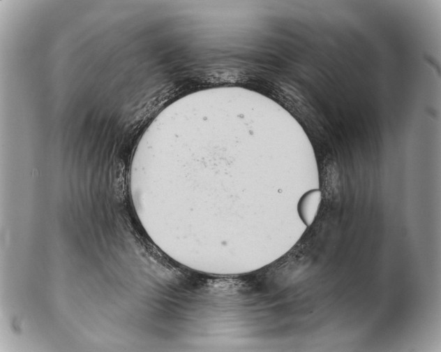 X0000102460414200809051314