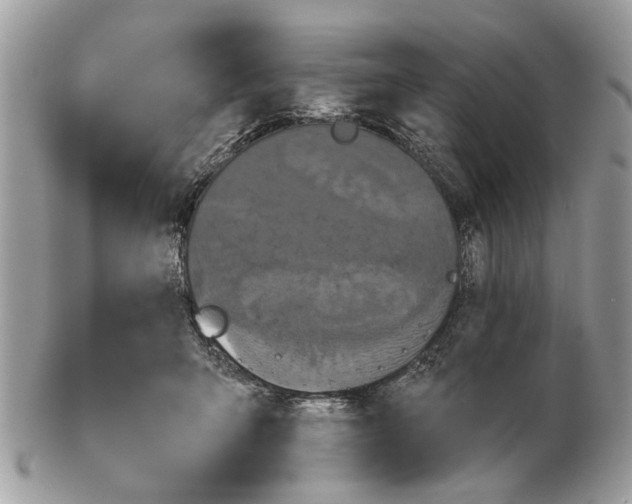 X0000102460415200809051314