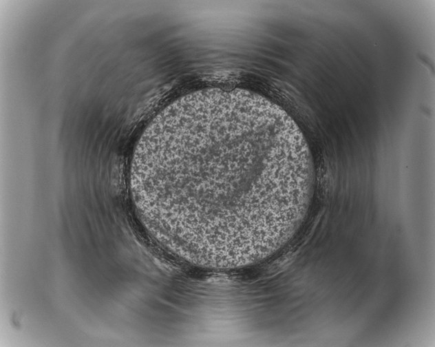X0000102460416200809051314