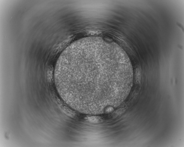 X0000102460417200809051314