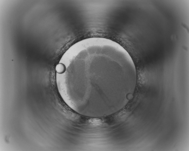 X0000102460419200809051314