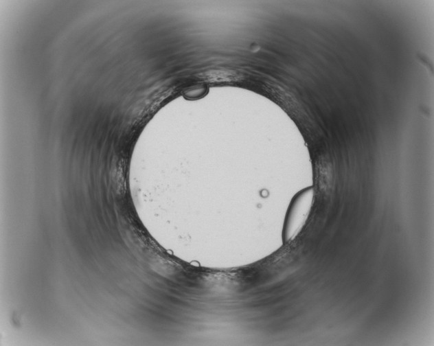 X0000102460422200809051314